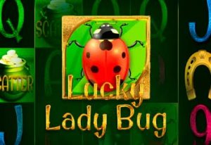 Lucky Lady Bug